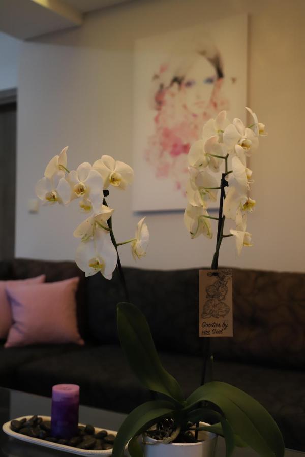 Deluxe Apartments Andreas 리메나리아 외부 사진